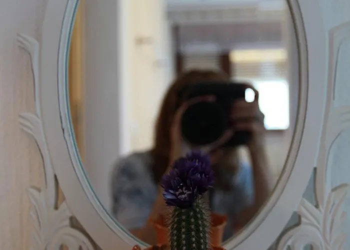 アパート Maison Marie Ubstadt-Weiher